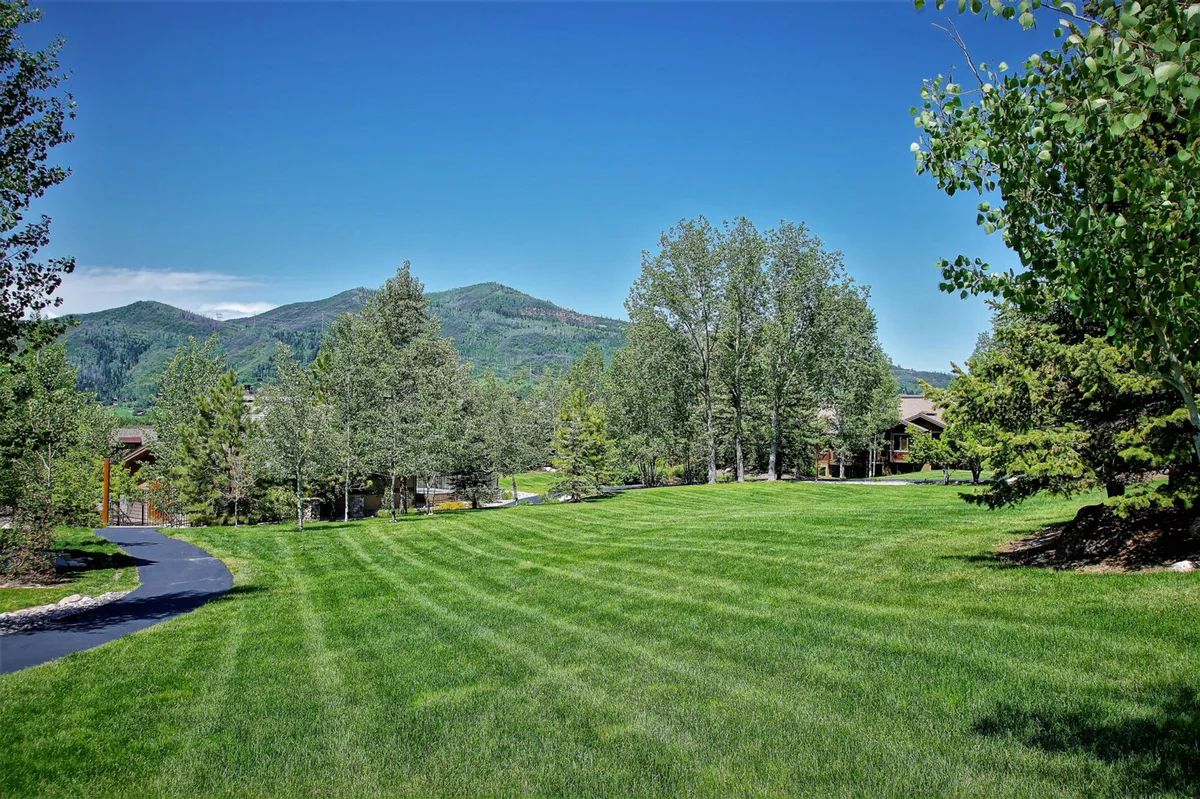 The photo captures an expansive green lawn bordered by tall trees, with a dramatic mountain backdrop beyond. The space invites outdoor relaxation, picnics, or meditative nature walks throughout the seasons.
